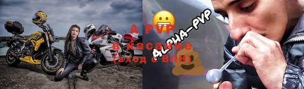 эйфоретик Покачи