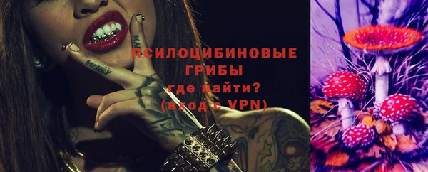 эйфоретик Покачи