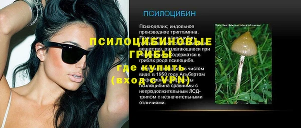 apvp Покров